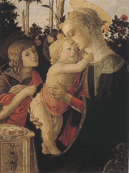 Sandro Botticelli Madonna of the Rose Garden or Madonna and Child with St John the Baptist China oil painting art